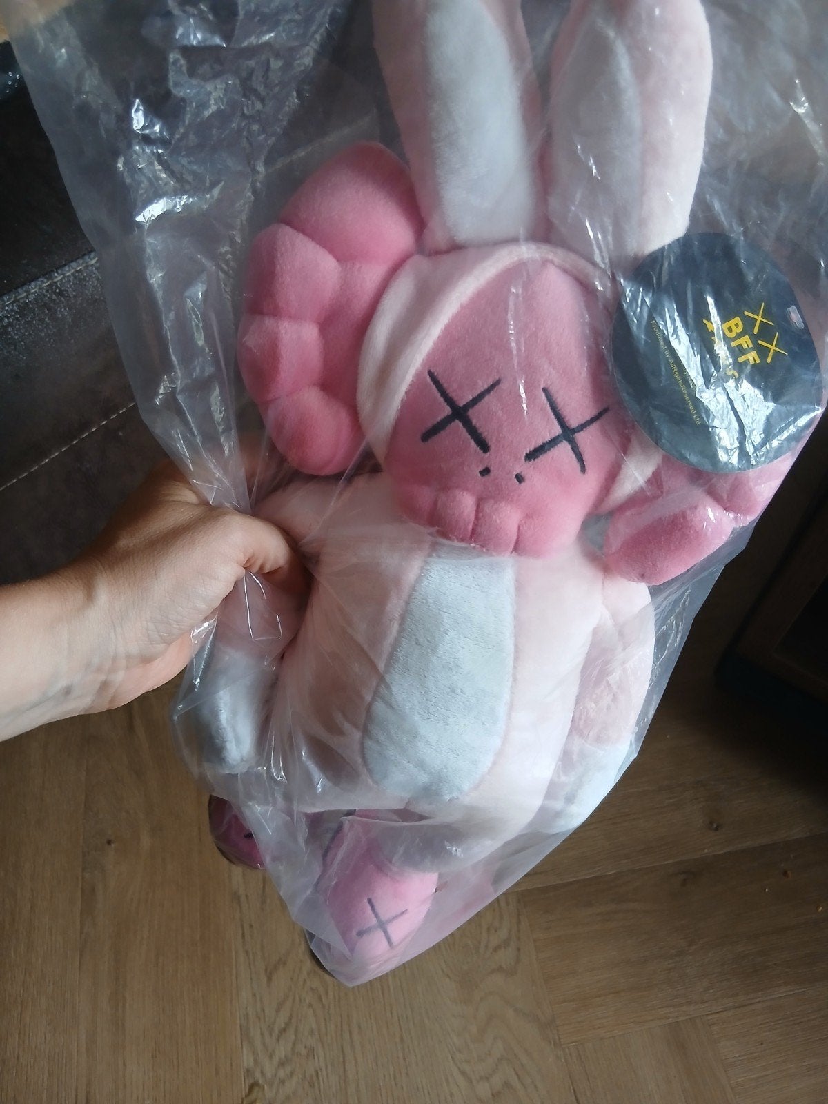 nieuwe Kaws BFF plush knuffel, Kaws, Nieuw, Kaws, Kaws