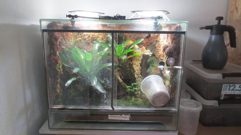 2 paludariums met sky mid-30, Slang, 0 tot 2 jaar