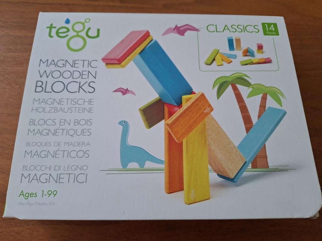 Tegu houten magnetische blokken, Ophalen of Verzenden