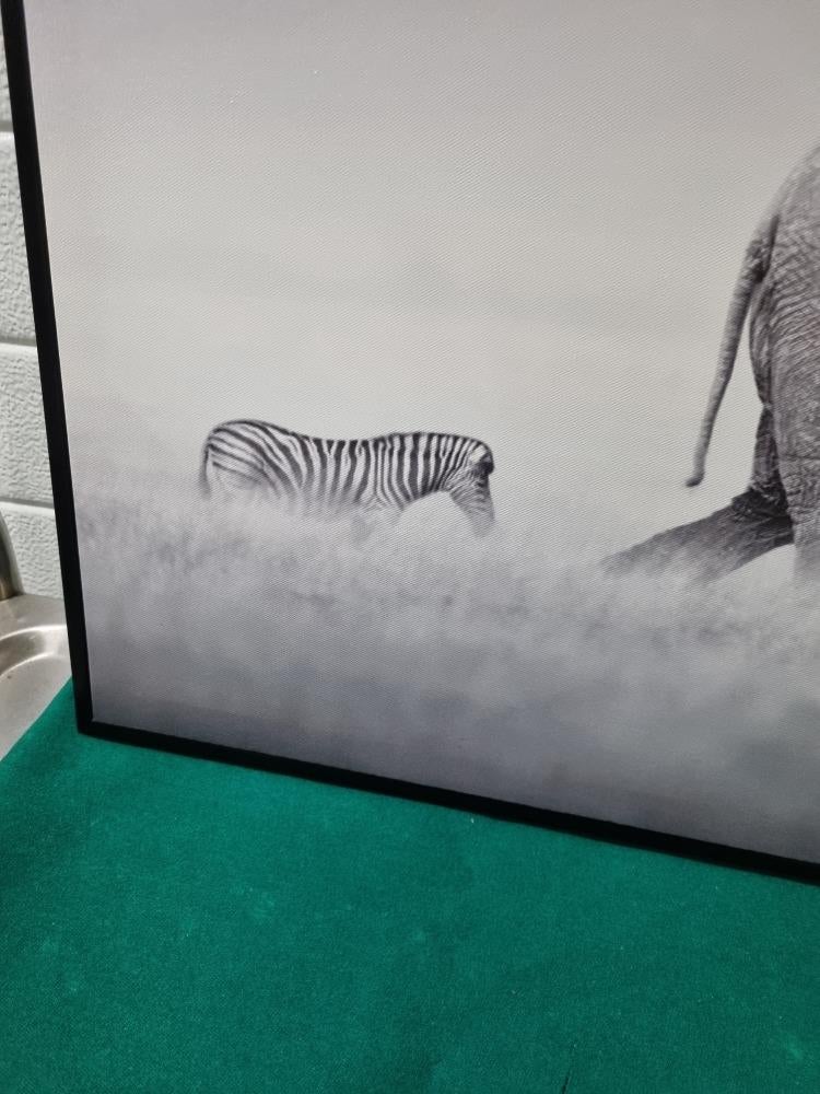 schilderij fotodoek zebra en olifant in zwarte lijst, Huis en Inrichting, Woonaccessoires | Schilderijen, Tekeningen en Foto's