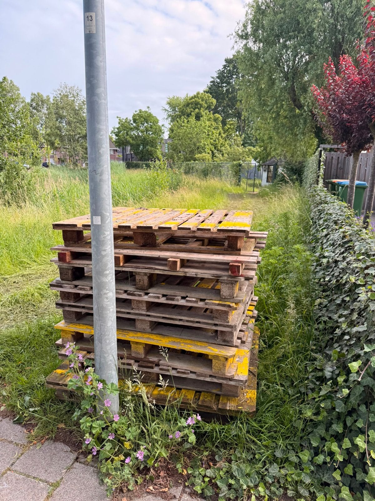 Gratis brandhout: Pallets voor open haard, Minder dan 3 m³, Ophalen, Overige houtsoorten, Blokken