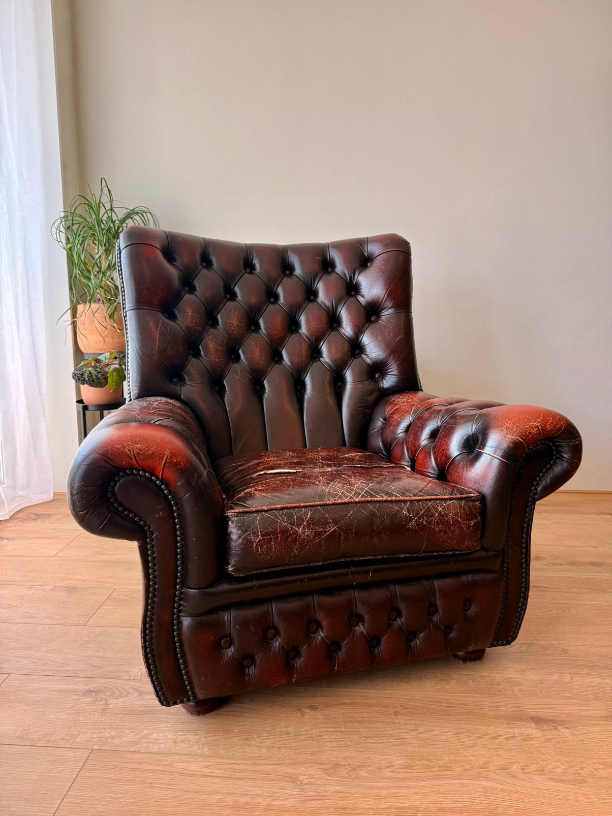 Chesterfield fauteuil, Huis en Inrichting, Fauteuils, Gebruikt, Leer, 75 tot 100 cm, 75 tot 100 cm, Ophalen