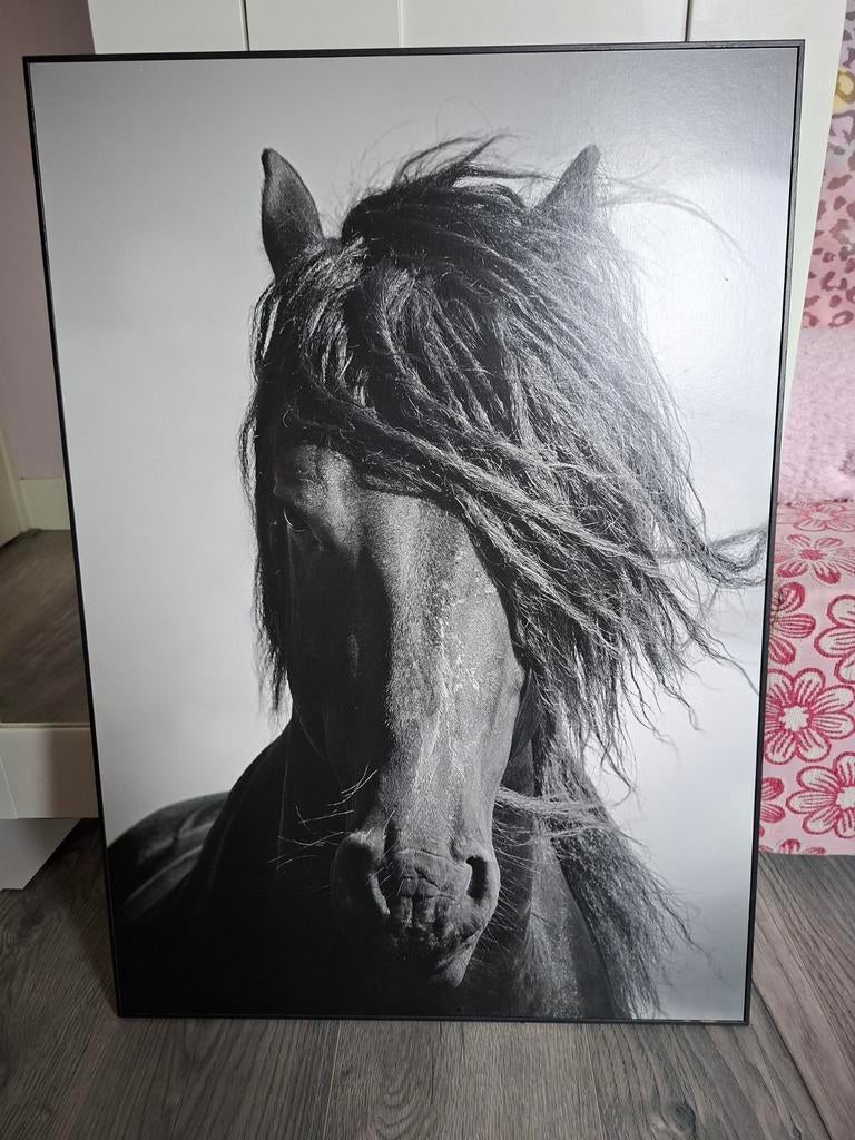 Paard poster in zwarte lijst, Ophalen of Verzenden, Minder dan 50 cm, Foto of Poster, Minder dan 50 cm