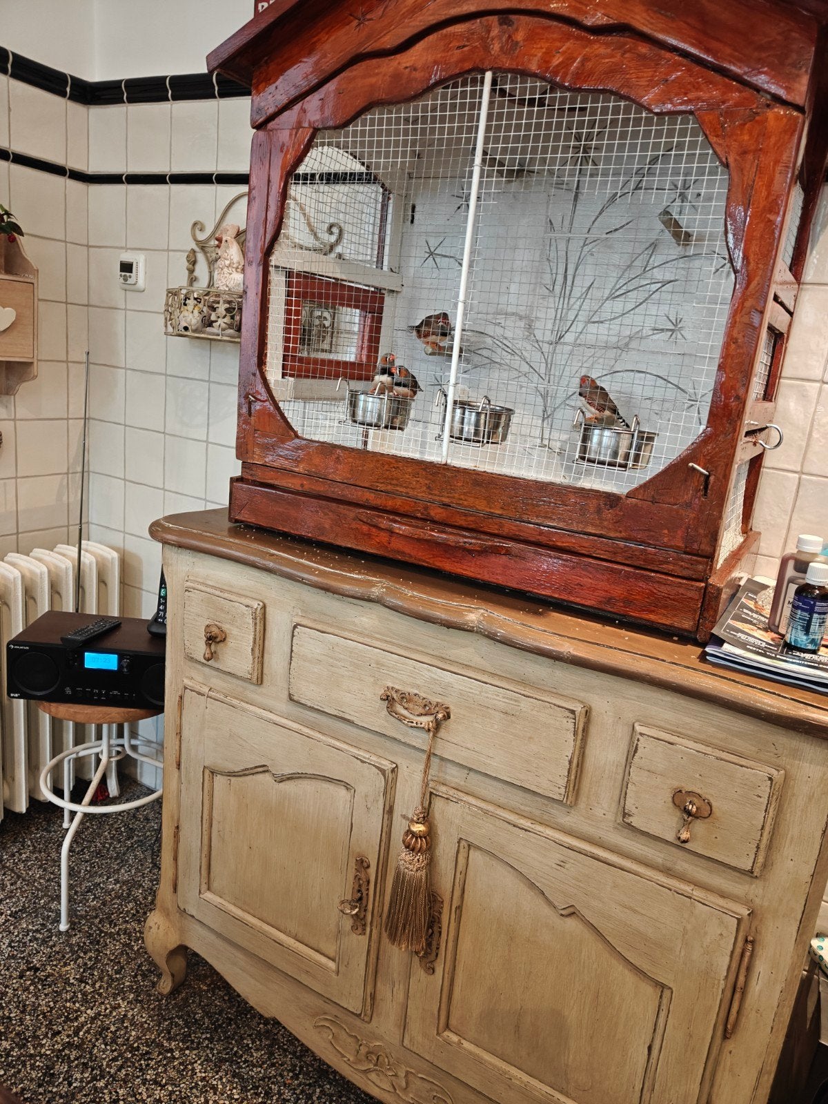 Vogel kooi, Dieren en Toebehoren, Vogels | Hokken en Kooien, Ophalen, Zo goed als nieuw, Metaal, Vogelkooi