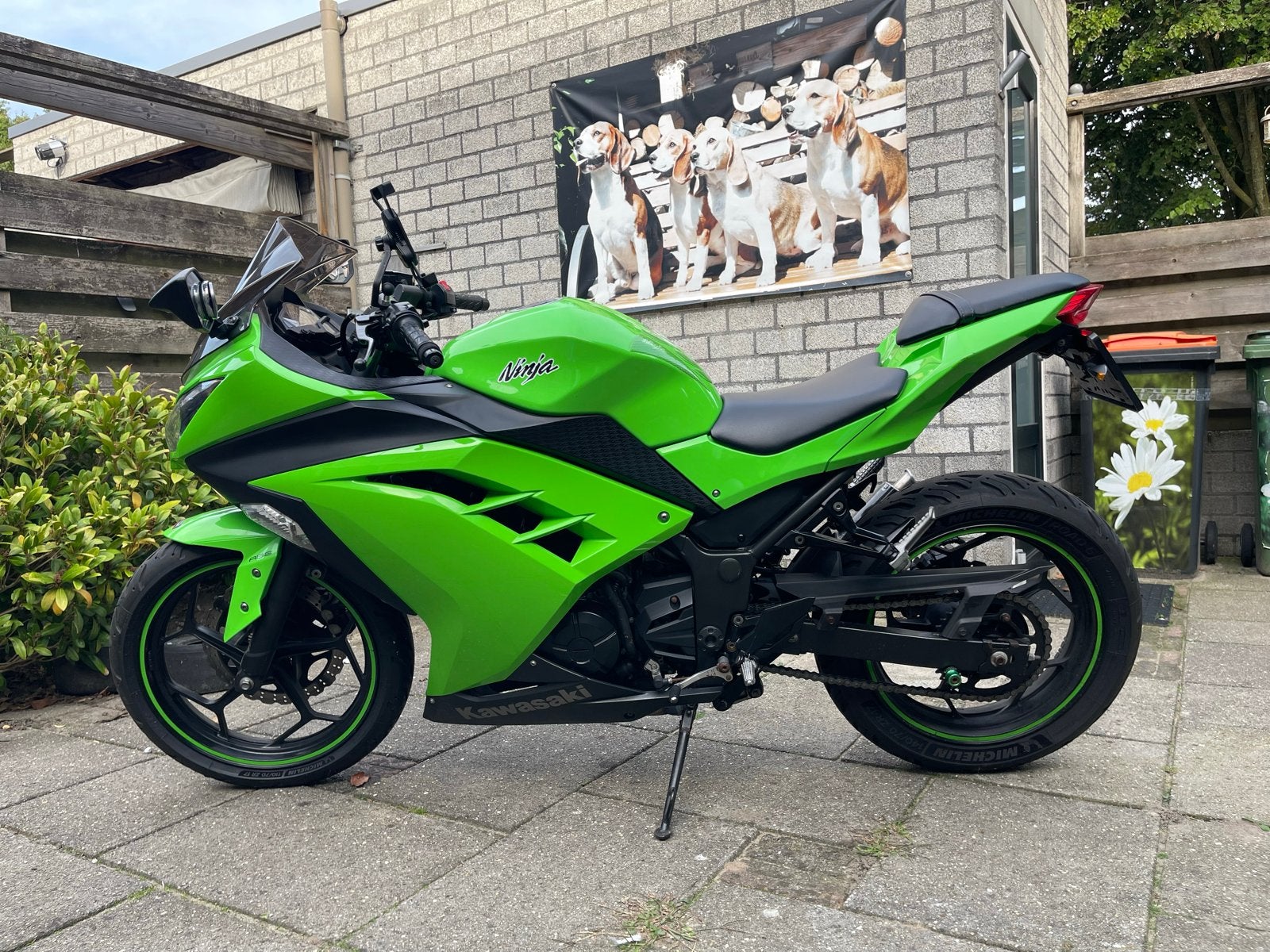 Kawasaki Ninja 300 ABS - A2, Motoren, 296 cc, 2 cilinders, Sportuitlaat, Gebruikt