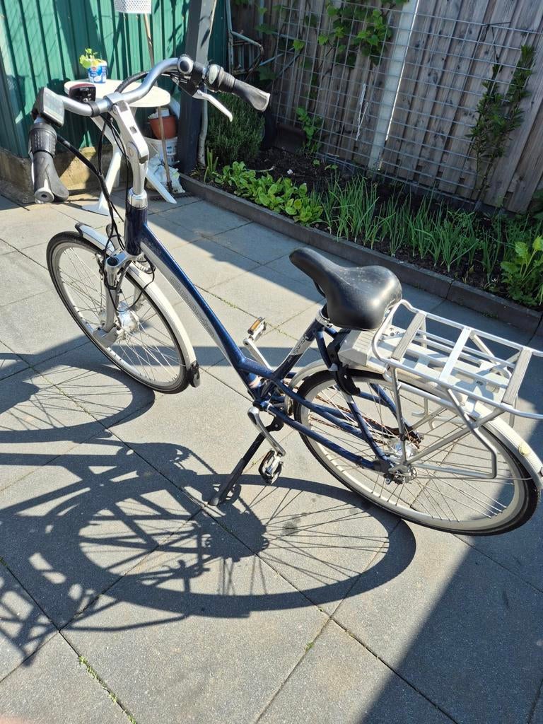 Sparta delphi emotion c2, 51 tot 55 cm, Ophalen of Verzenden, Gebruikt, Sparta