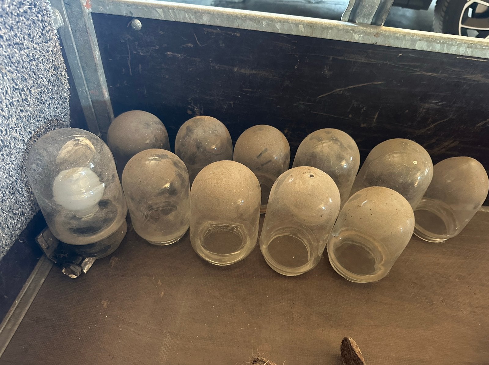 Stallamp schutglazen & 1 complete set, Ophalen