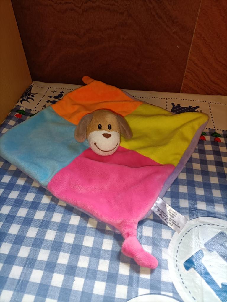 Zeeman hond knuffeldoekje met allerlei kleuren, Ophalen of Verzenden, Zo goed als nieuw, Hond