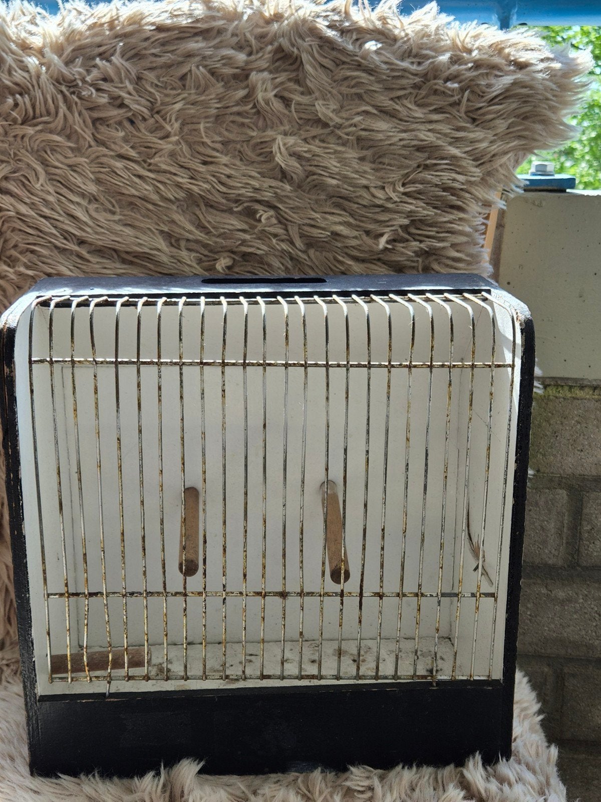 Vogel vervoerder-kooi, Dieren en Toebehoren, Knaagdieren en Konijnen | Hokken en Kooien, Ophalen, Kooi, 60 tot 90 cm, Minder dan 75 cm