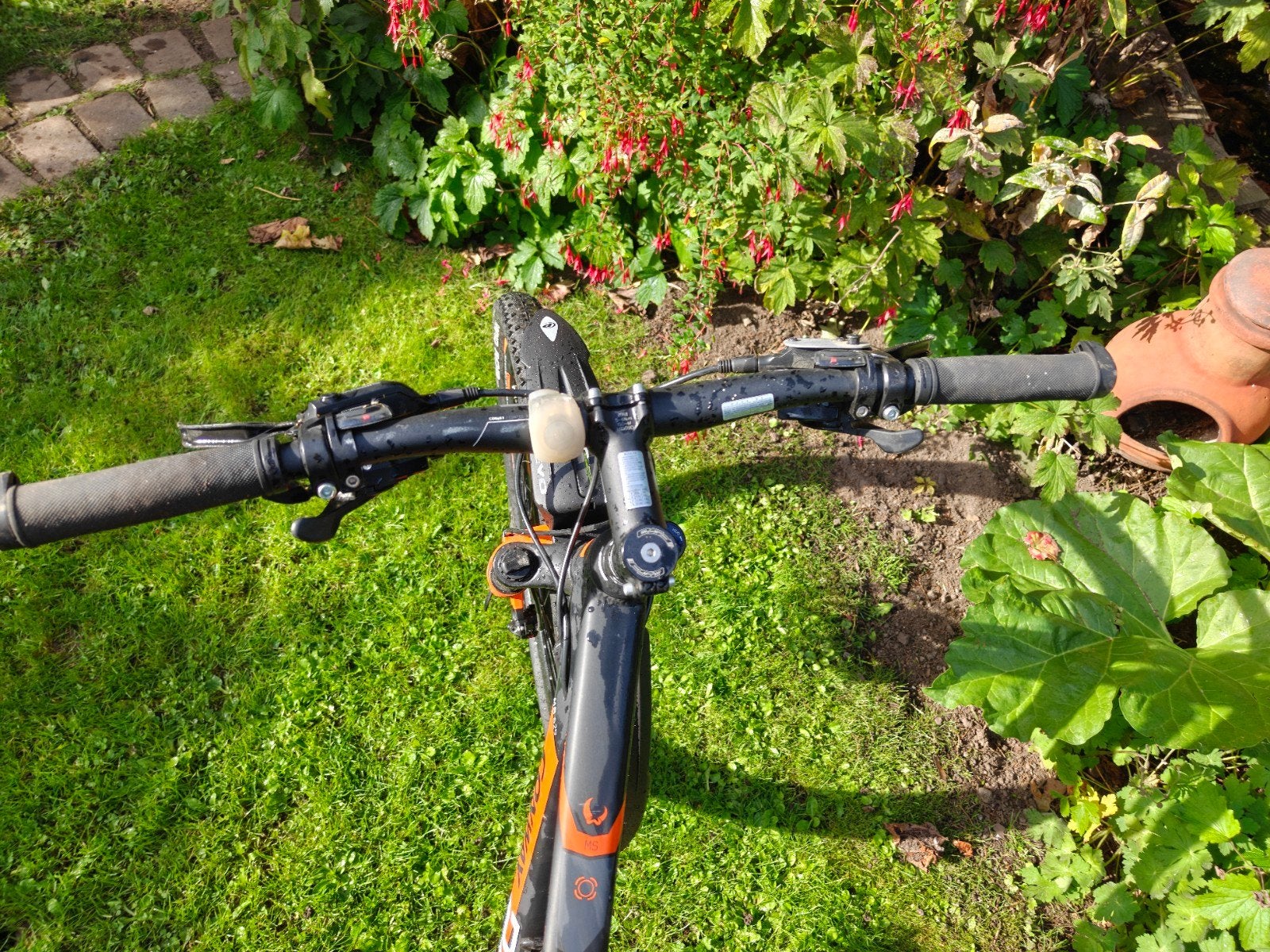 Conway Mountainbike 29 inch - Hardtail - Schijfrem, Overige merken, Gebruikt, Hardtail, Heren