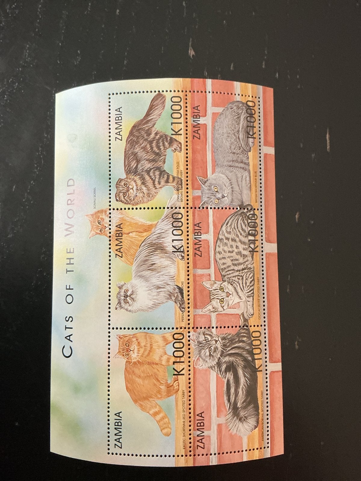 Zambia Postzegels - Cats of the World (Katten), Ophalen of Verzenden, Postfris, Dier of Natuur
