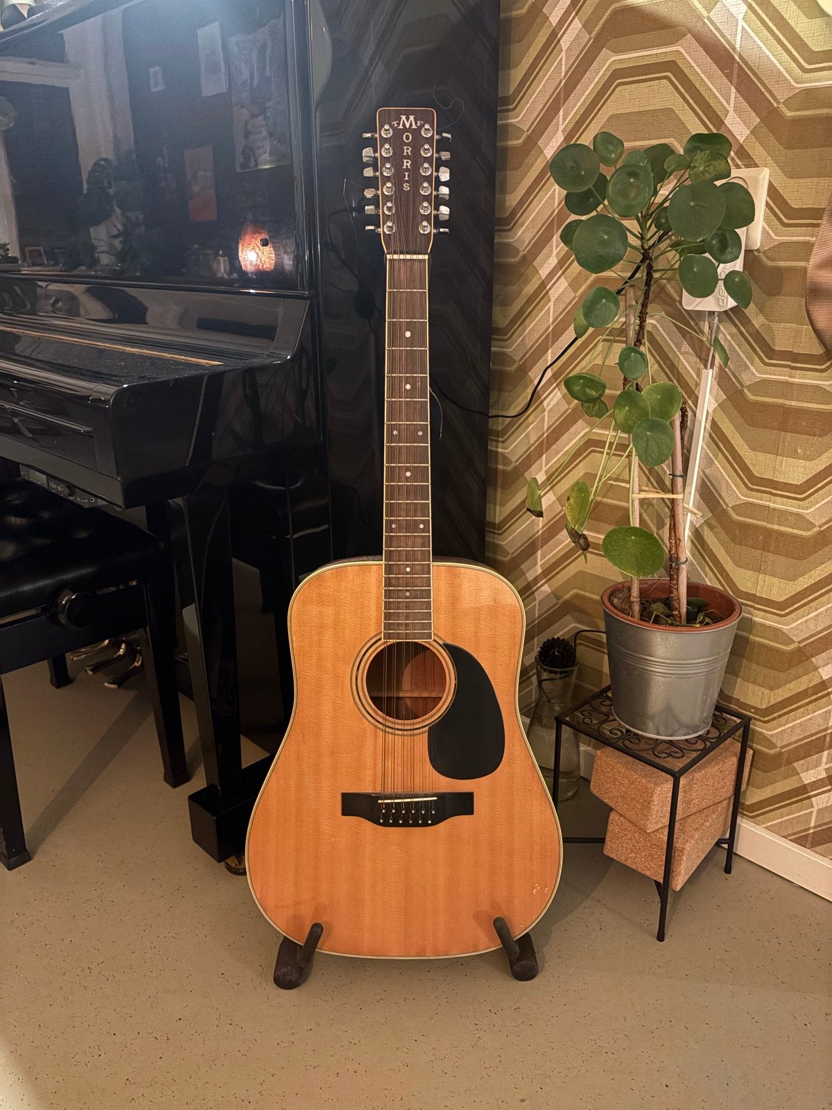 Morris 12-snarige gitaar met custom Fishman pick-up