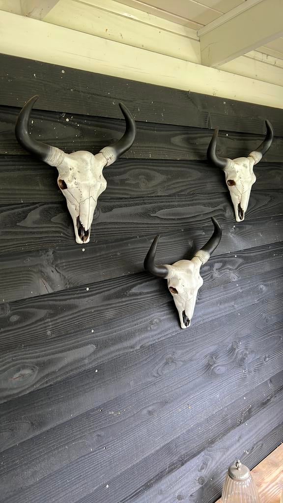 Tuin/Woonaccessoires 3x dierenschedels, Ophalen of Verzenden, Zo goed als nieuw
