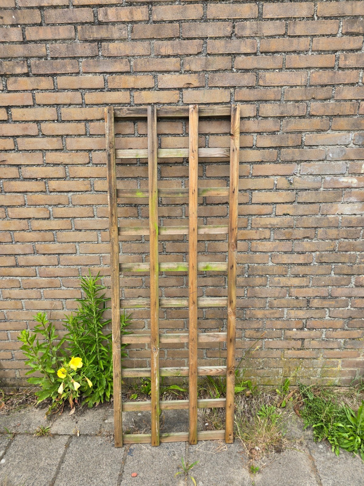 Houten klimrek voor planten - 60 x 162 cm, Ophalen, Gebruikt