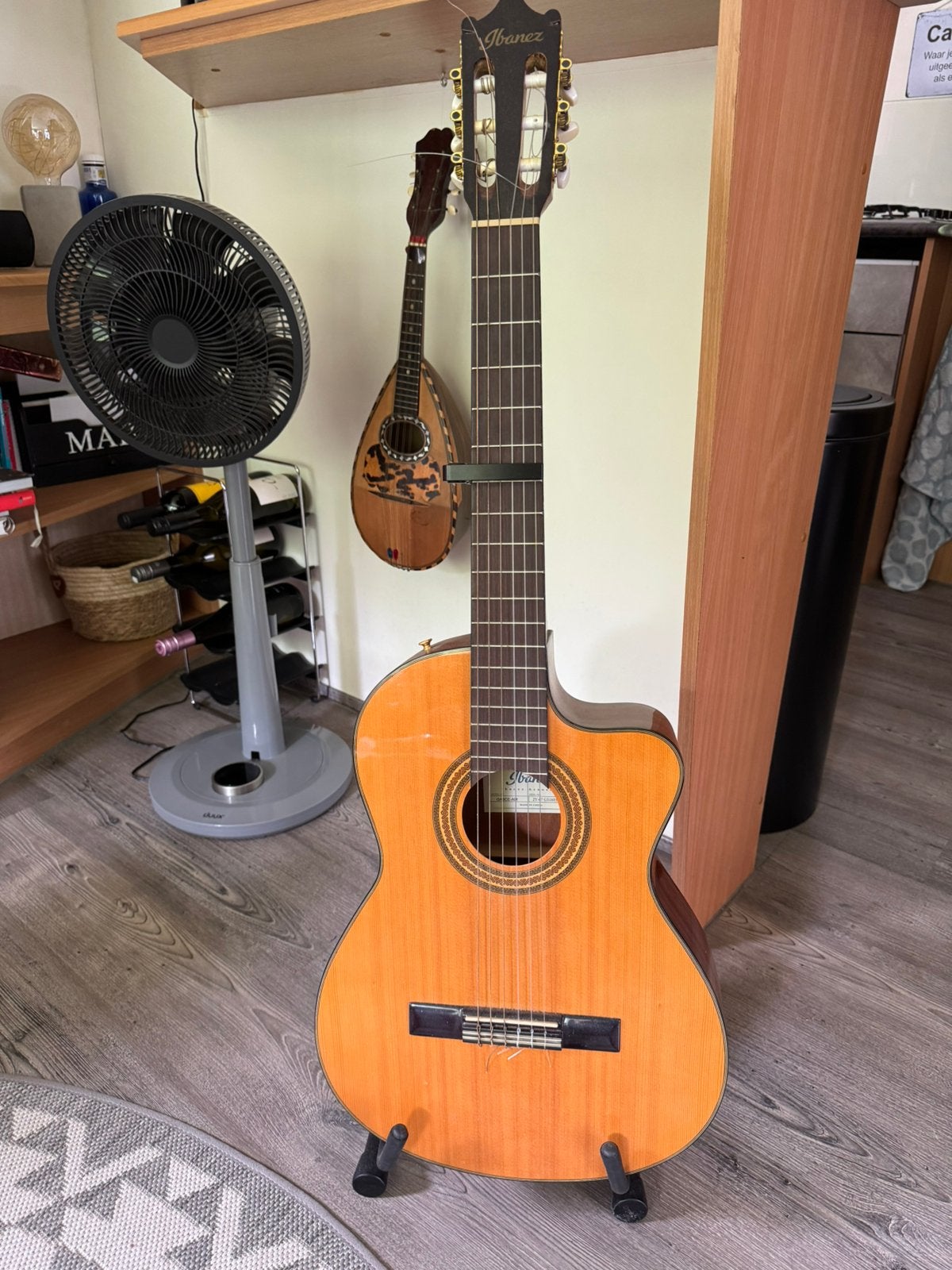 Ibanez akoestische gitaar, Muziek en Instrumenten, Snaarinstrumenten | Gitaren | Akoestisch, Ophalen, Zo goed als nieuw, Klassieke of Spaanse gitaar