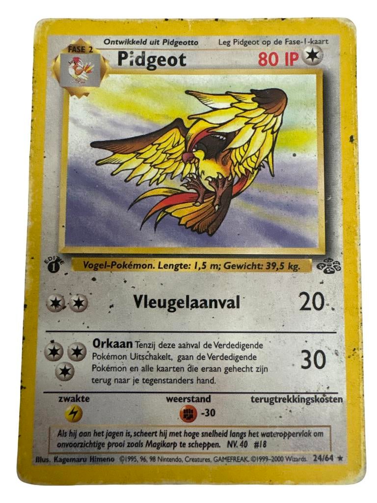 Pidgeot 24/64, Ophalen of Verzenden, Gebruikt, Losse kaart