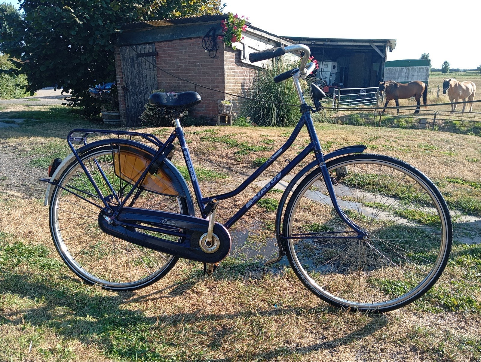 Batavus damesfiets - Gebruikt, maar functioneel, Fietsen en Brommers, Fietsen | Dames | Damesfietsen, Ophalen, Terugtraprem, Versnellingen