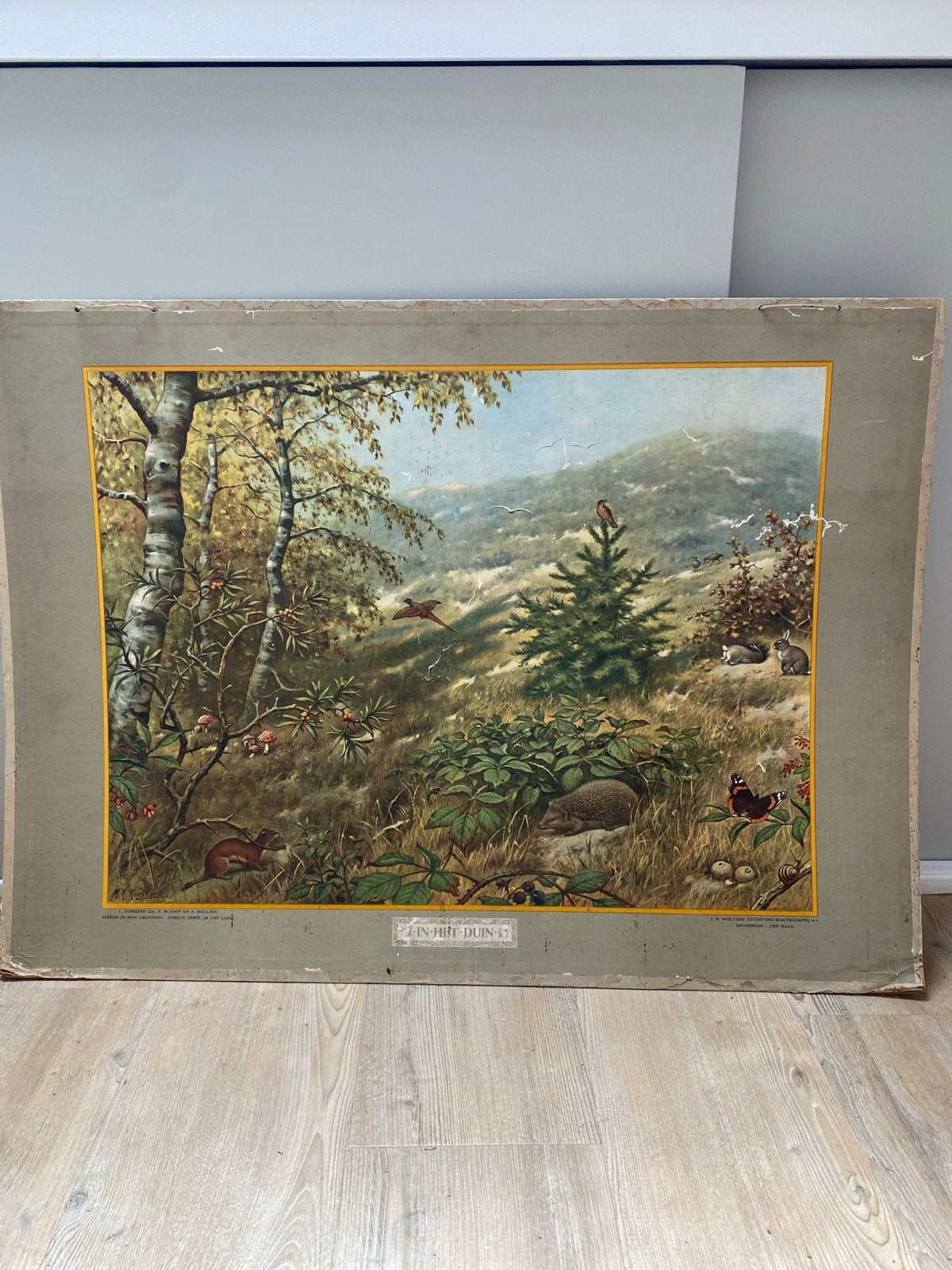 Vintage schoolplaat: Dieren in hun omgeving / In de Noordzee, Antiek en Kunst, Antiek | Schoolplaten, Ophalen, Natuur en Biologie
