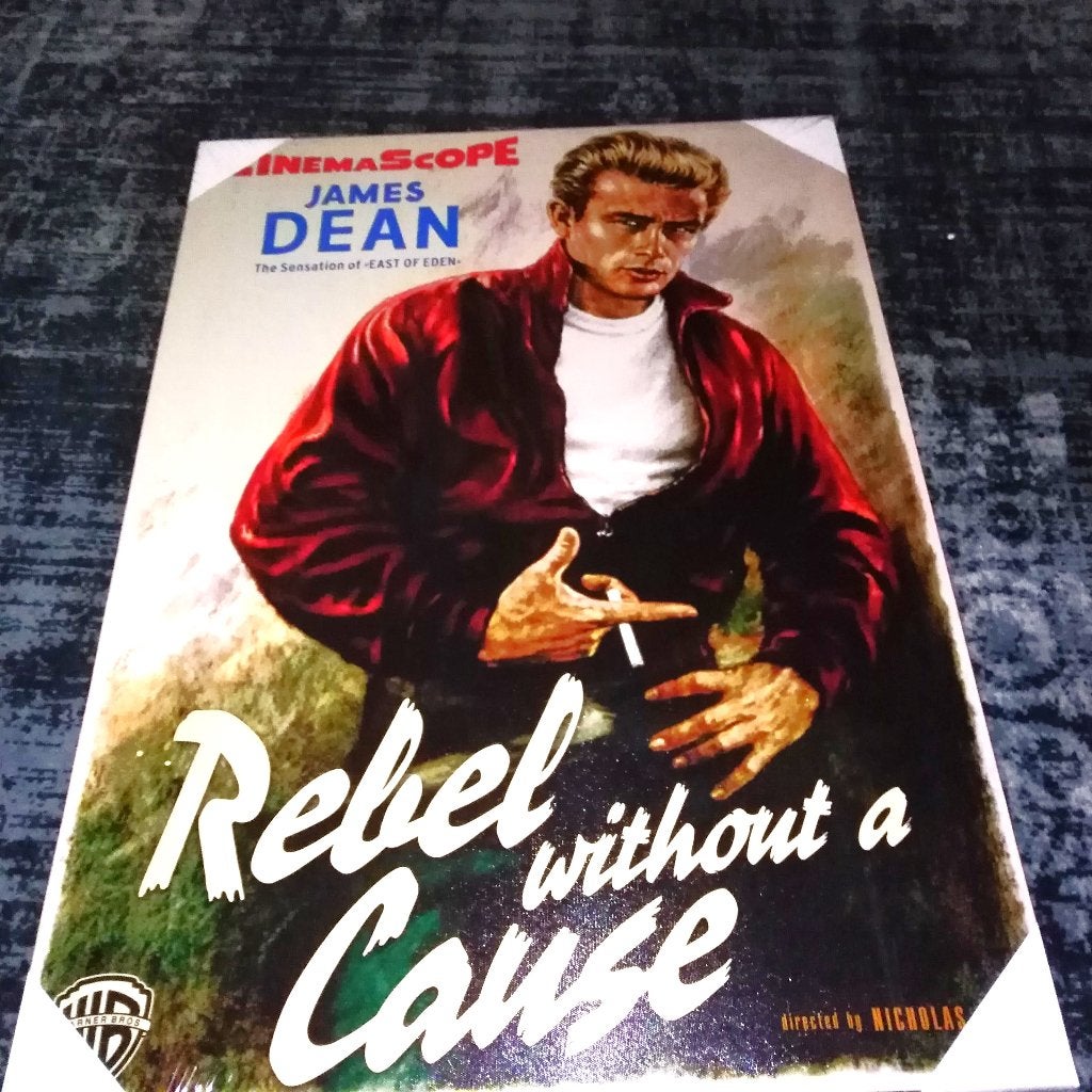 James Dean Rebel without a Cause canvas schilderij, Verzamelen, Ophalen, Zo goed als nieuw, Poster, Artwork of Schilderij