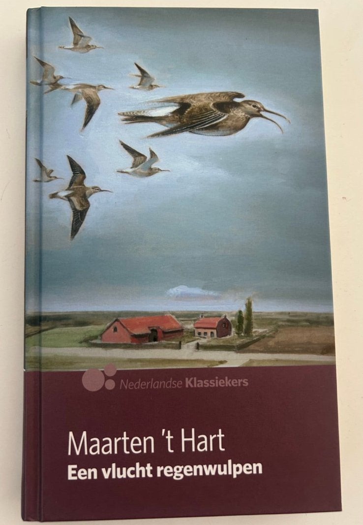 Maarten 't Hart Een vlucht regenwulpenNederlandse Klassieker, Boeken, Ophalen of Verzenden, Gelezen