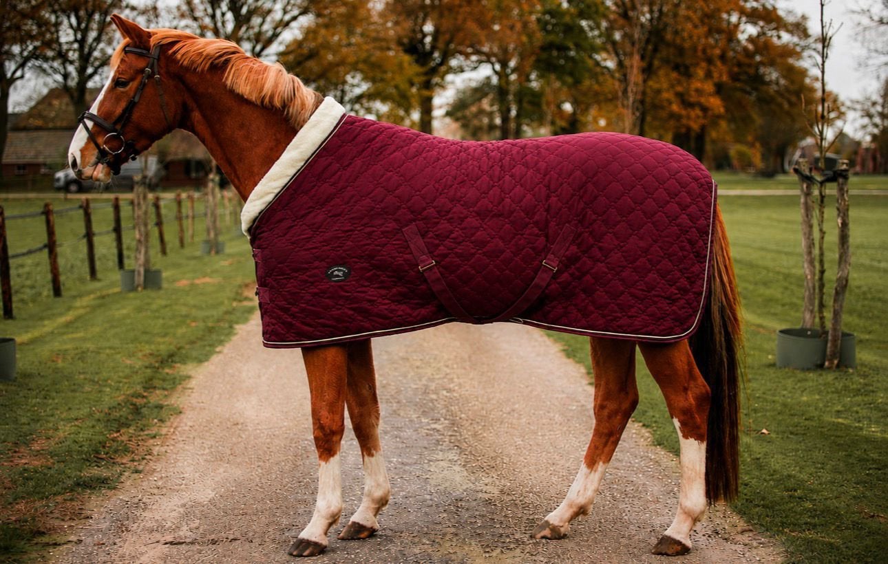 Nieuwe Profi-Rider velvet showdekens, Dieren en Toebehoren, Paarden en Pony's | Dekens en Dekjes, Meerkleurig, Fluweel, 250 g