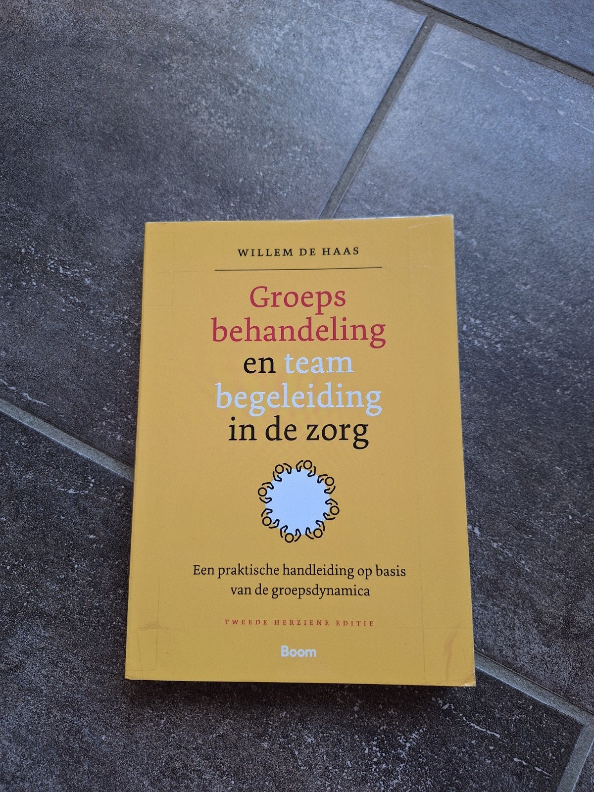 Groepsbehandeling en teambegeleiding in de zorg, Willem de Haas, Zo goed als nieuw, Beta, HBO