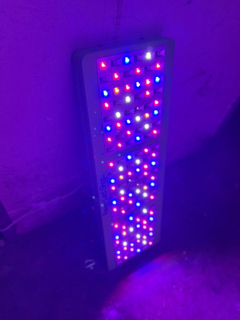 Complete kweekset met mars hydro- Zo goed als nieuw, Tuin en Terras, Kweekspullen, Zo goed als nieuw, Kweektent, Ophalen