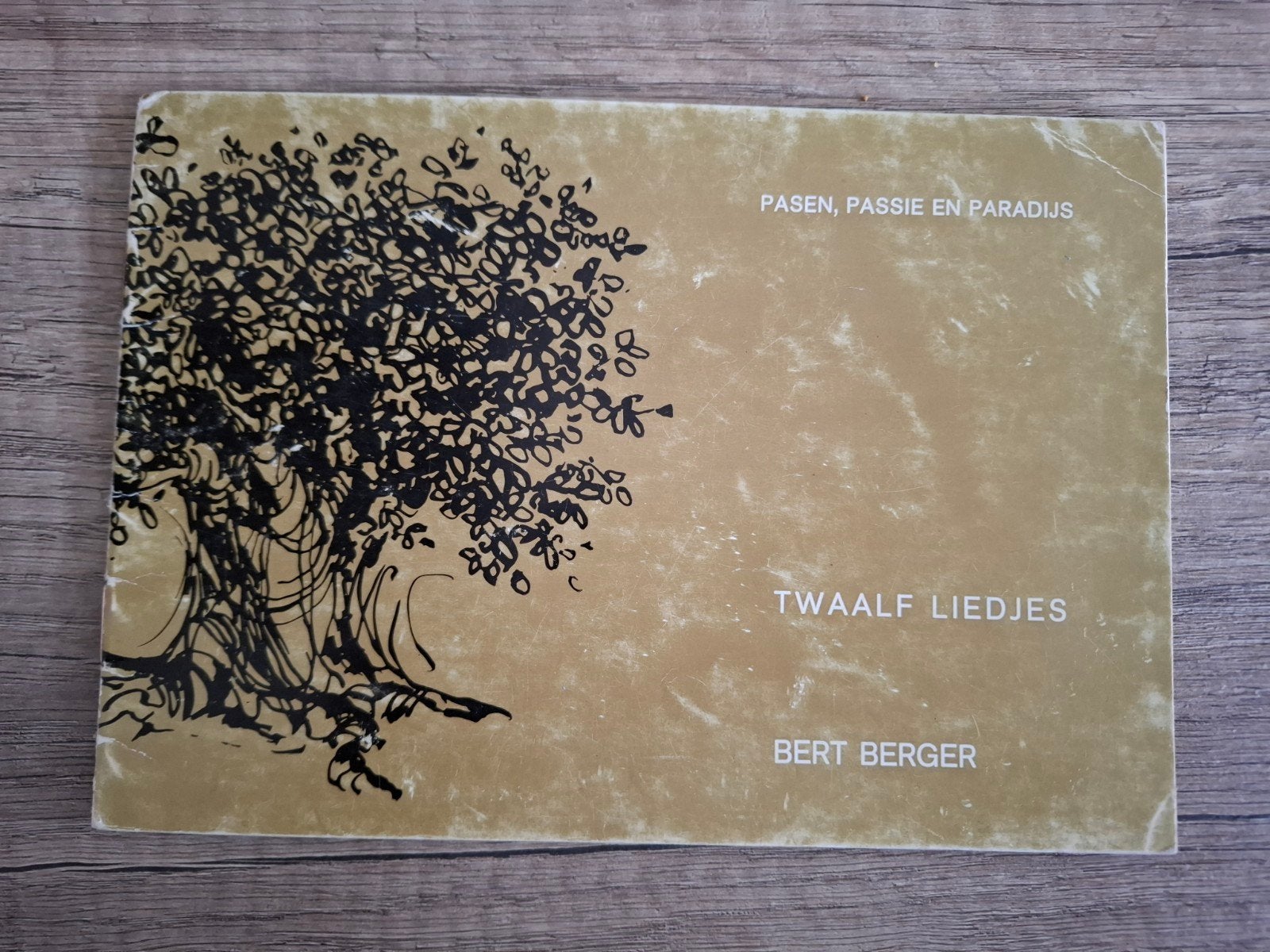 Twaalf liedjes voor Pasen, passie en paradijs, Bert Berger
N, Ophalen of Verzenden, Gelezen