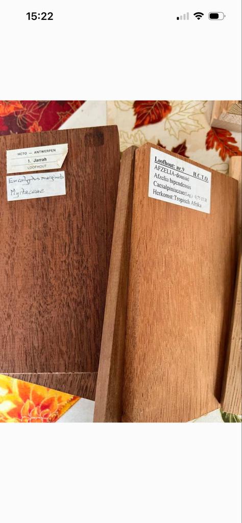 Houtmonsters 22 stuks nieuw, Ophalen of Verzenden, Zo goed als nieuw