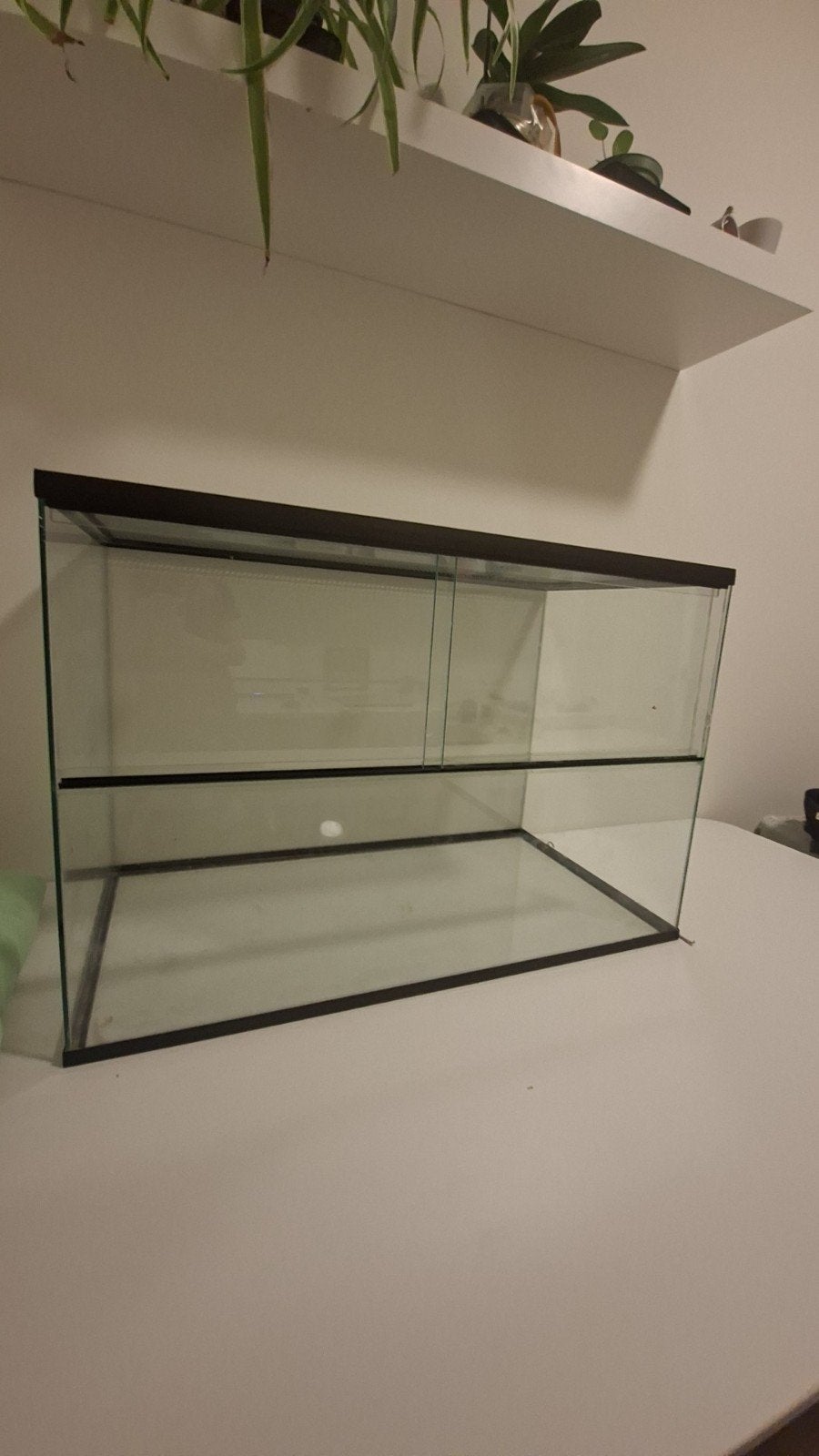 hamsterkooi, Ophalen, Zo goed als nieuw, Terrarium of Paludarium