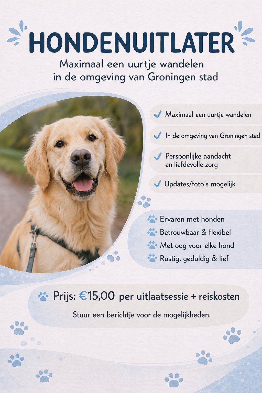Honden uitlater Groningen Stad, Ophalen of Verzenden, Zo goed als nieuw, Honden