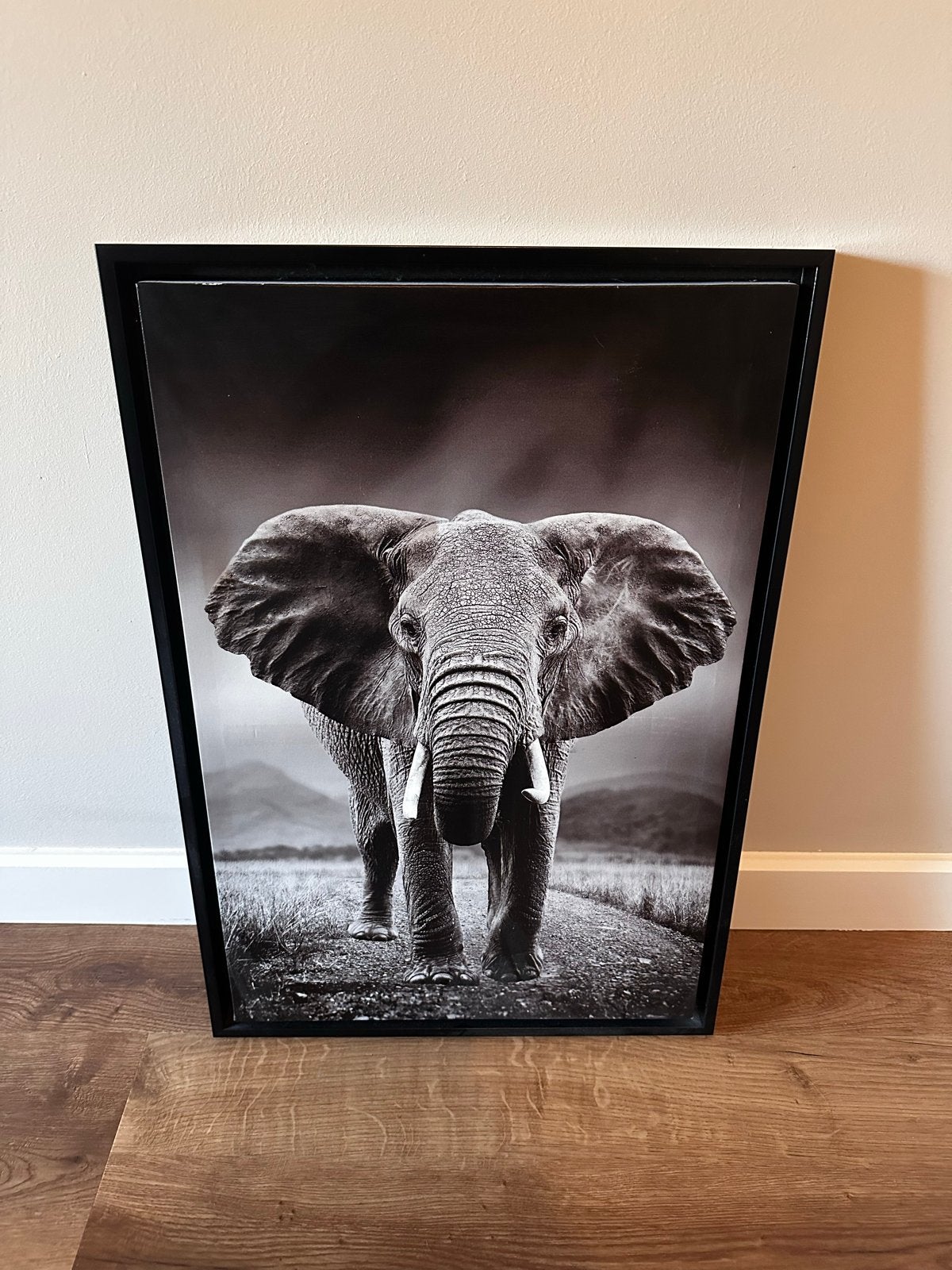 Canvas schilderij olifant zwart 44 x 65 cm, Ophalen, Textiel, Op houten frame, Dieren
