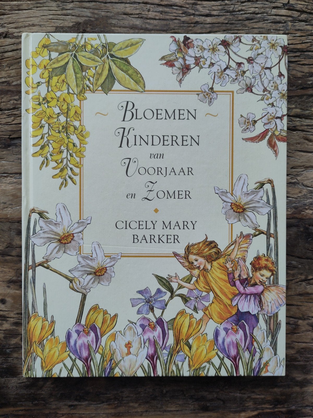 Boek Bloemenkinderen van Voorjaar en Zomer, Ophalen of Verzenden, Nieuw, Cicely Mary Barker