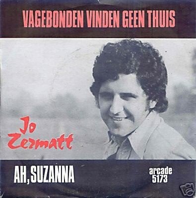 vinylsingles gezocht zie foto's, Ophalen of Verzenden, Zo goed als nieuw, Overige formaten, Levenslied of Smartlap