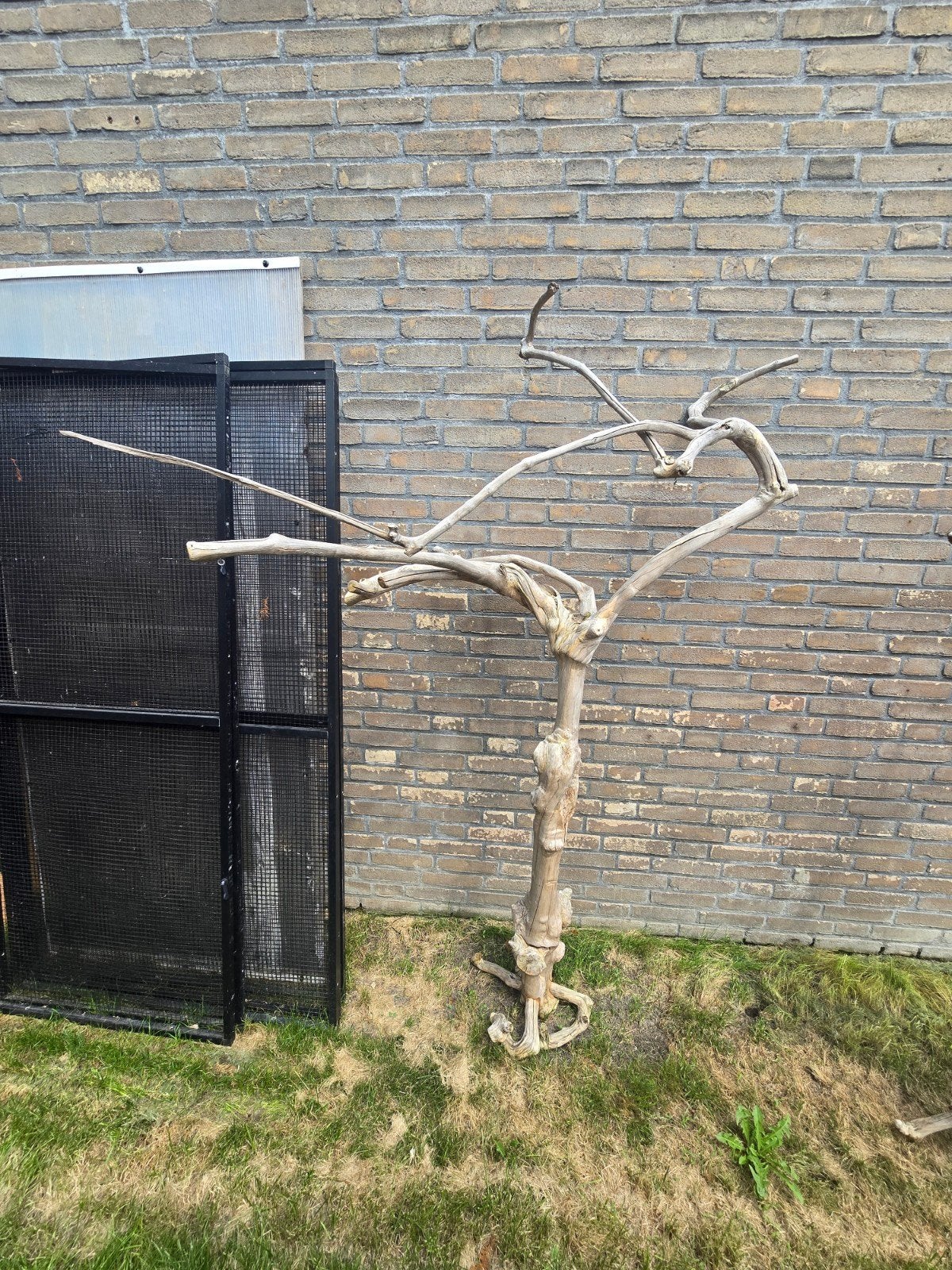 2 grote Java bomen, Dieren en Toebehoren, Vogels | Toebehoren, Gebruikt, Overige typen, Ophalen