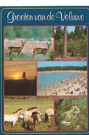 Ansichtkaart 	Veluwe	6-luik, Verzenden, 1960 tot 1980, Gelopen, Gelderland