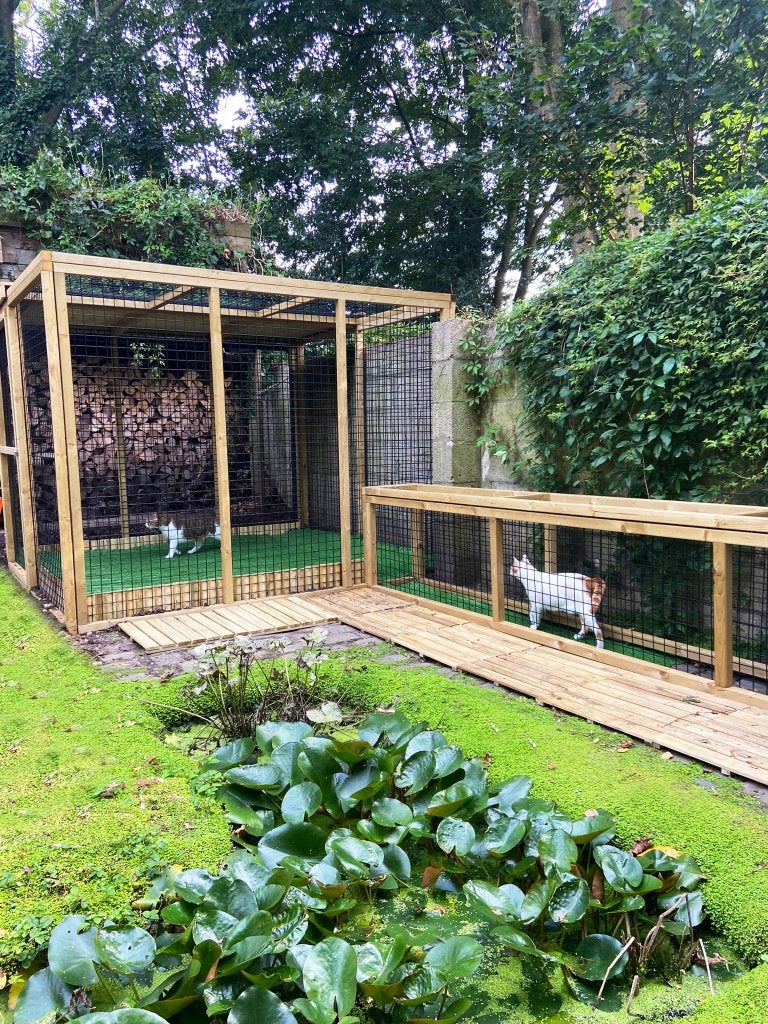 Kattenren Rosmalen | Maatwerk | Duurzame materialen