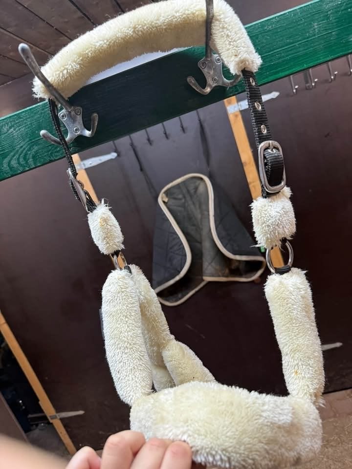 Bonte halster harry horse, Dieren en Toebehoren, Ophalen of Verzenden, Gebruikt, Veelzijdigheid