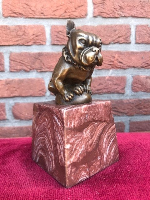 topbeeldje! zittende bulldog, brons en marmer, Ophalen of Verzenden, Brons