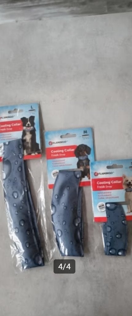 Verkoelende hondenhalsband maat S, Dieren en Toebehoren, Ophalen of Verzenden, Nieuw