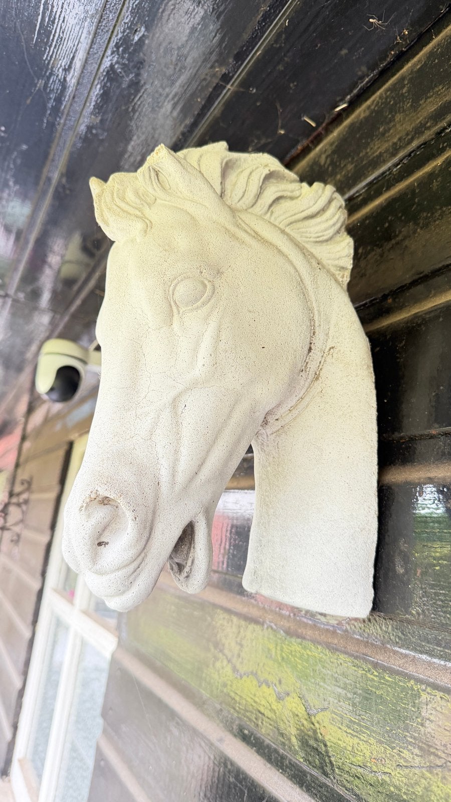 Paardenkop van beton - Decoratief object, Ophalen, Gebruikt, Beton, Dierenbeeld