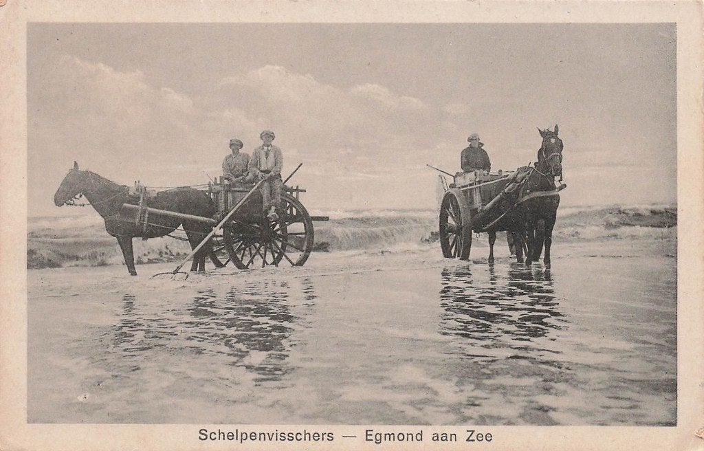 JP527 Egmond aan Zee Schelpenvisschers 1925, Ophalen of Verzenden, 1920 tot 1940, Gelopen, Noord-Holland