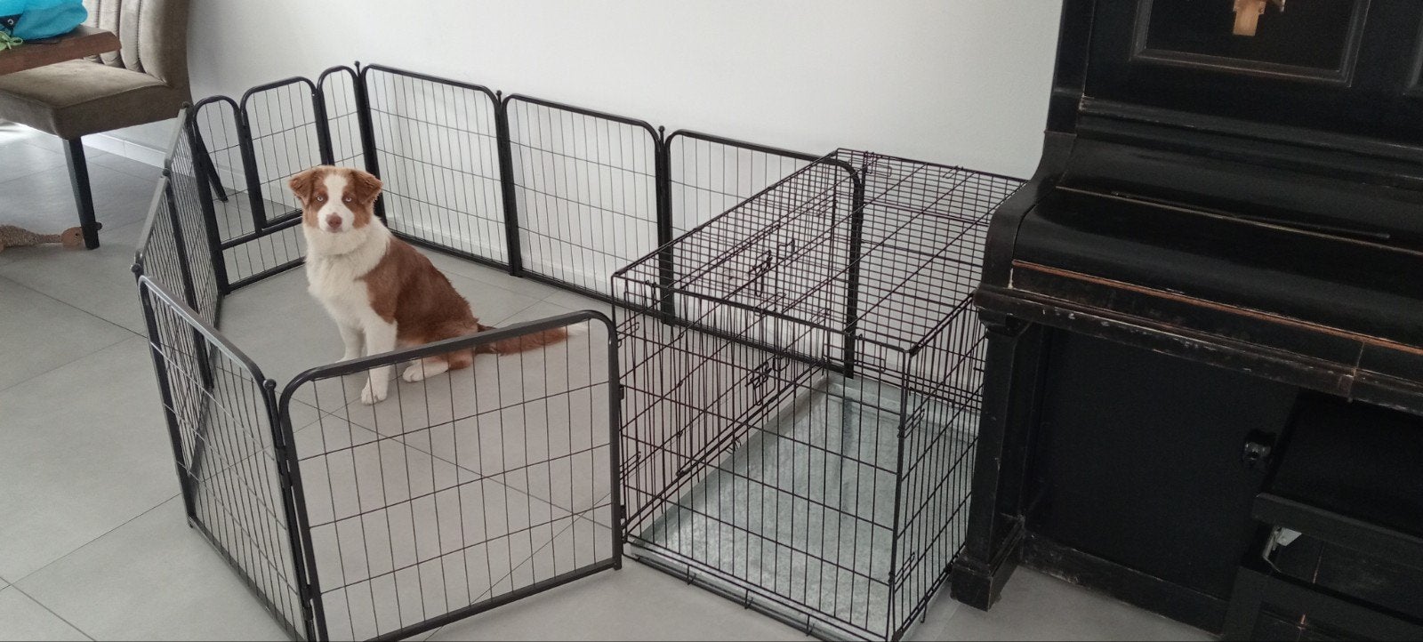 Hondenbench met hekken (ren), Dieren en Toebehoren, Hondenbenches, Ophalen