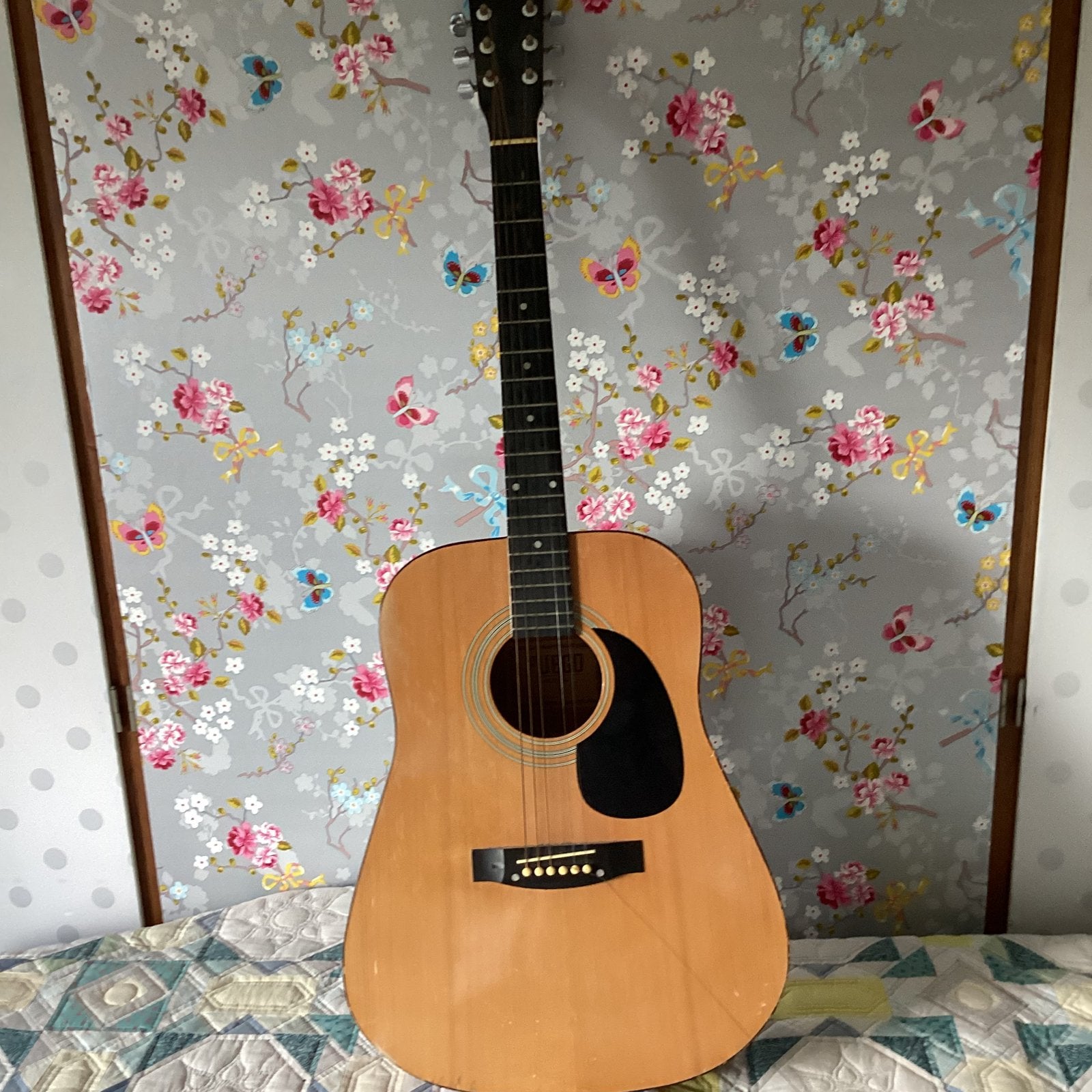 Western gitaar Fuego, Ophalen, Gebruikt, Western- of Steelstringgitaar