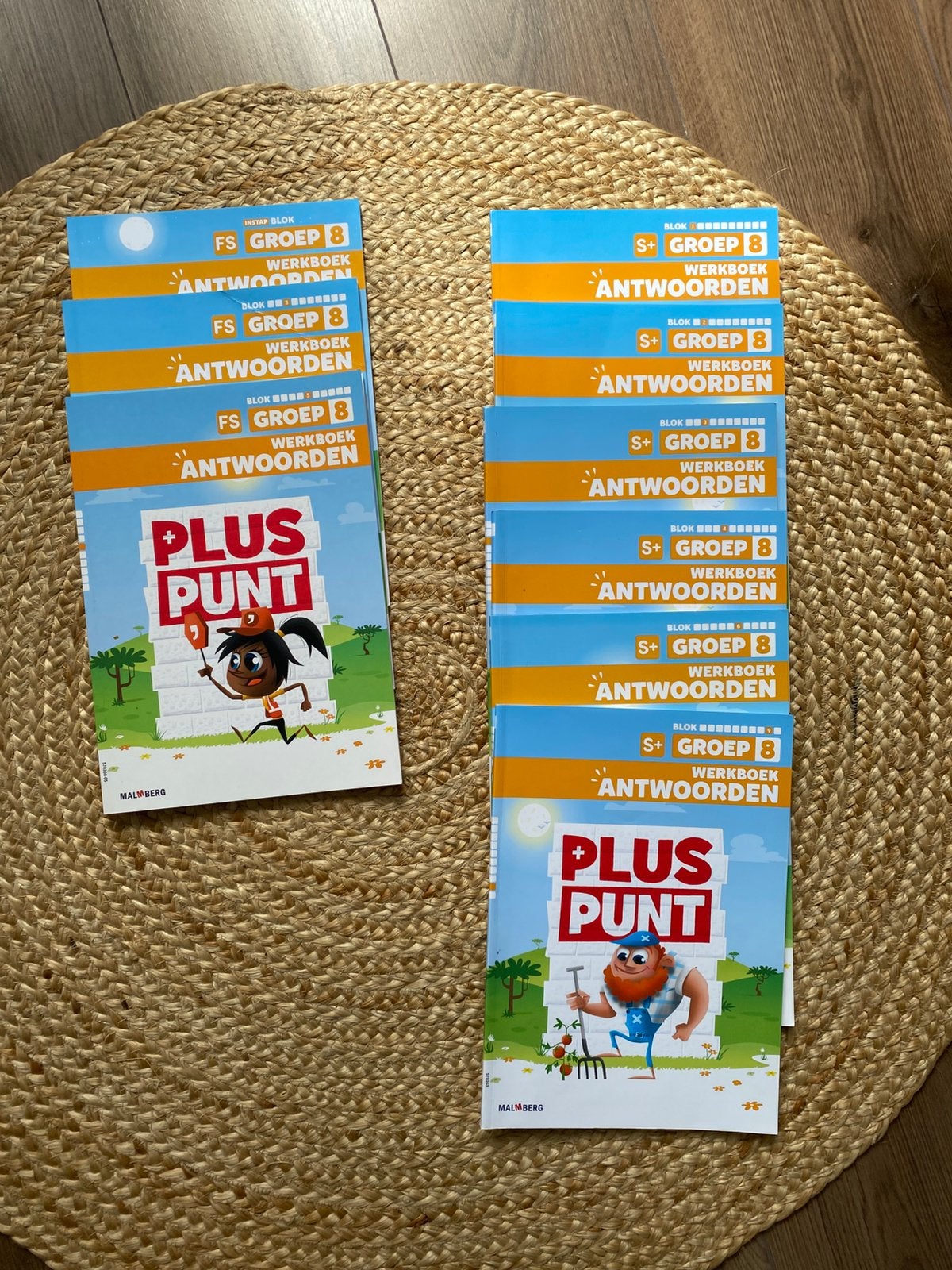Antwoordenboeken pluspunt groep 8 FS en S+, Boeken, Schoolboeken, Ophalen of Verzenden, Gelezen, Overige niveaus, Nederlands