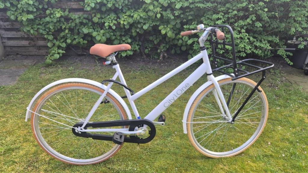 City1One Pelikaan Damesfiets met voordrager, Terugtraprem, Ophalen, Overige merken, 53 tot 56 cm