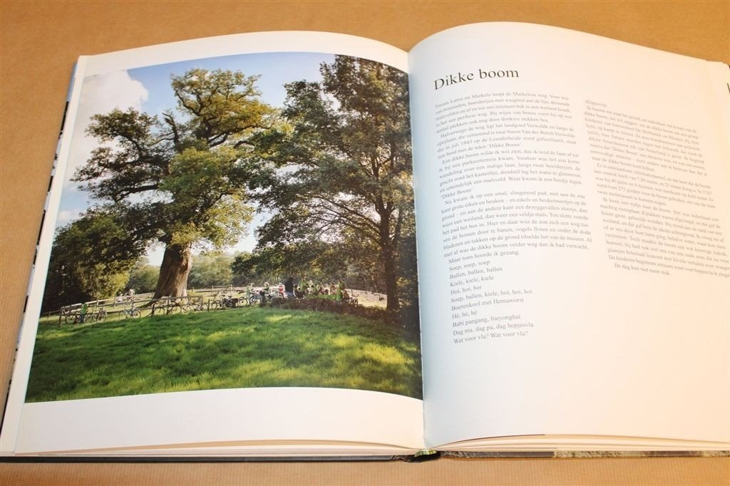 Bomen in het Voorbijgaan — Fotoboek Monumentale Bomen NL, Ophalen of Verzenden, Zo goed als nieuw, Bloemen, Planten en Bomen