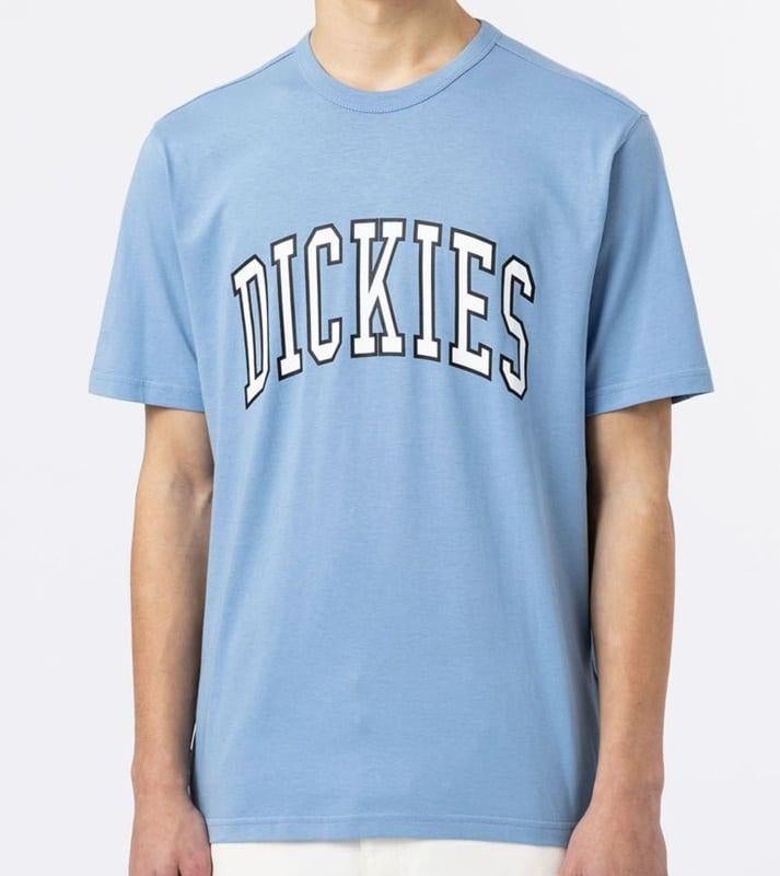Dickies aitkin t-shirt allure iconische dickies-print  xxl, Info@workingclassrebel.com, Blauw, Nieuw, Overige maten