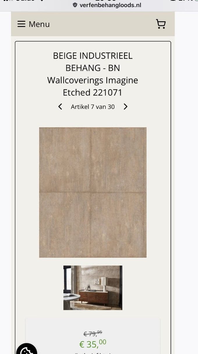 Gratis! 4 Rollen BEHANG, NIEUW! Betonlook‼️ BN Wallcoverings, Ophalen, Materiaallook, Grijs, BN