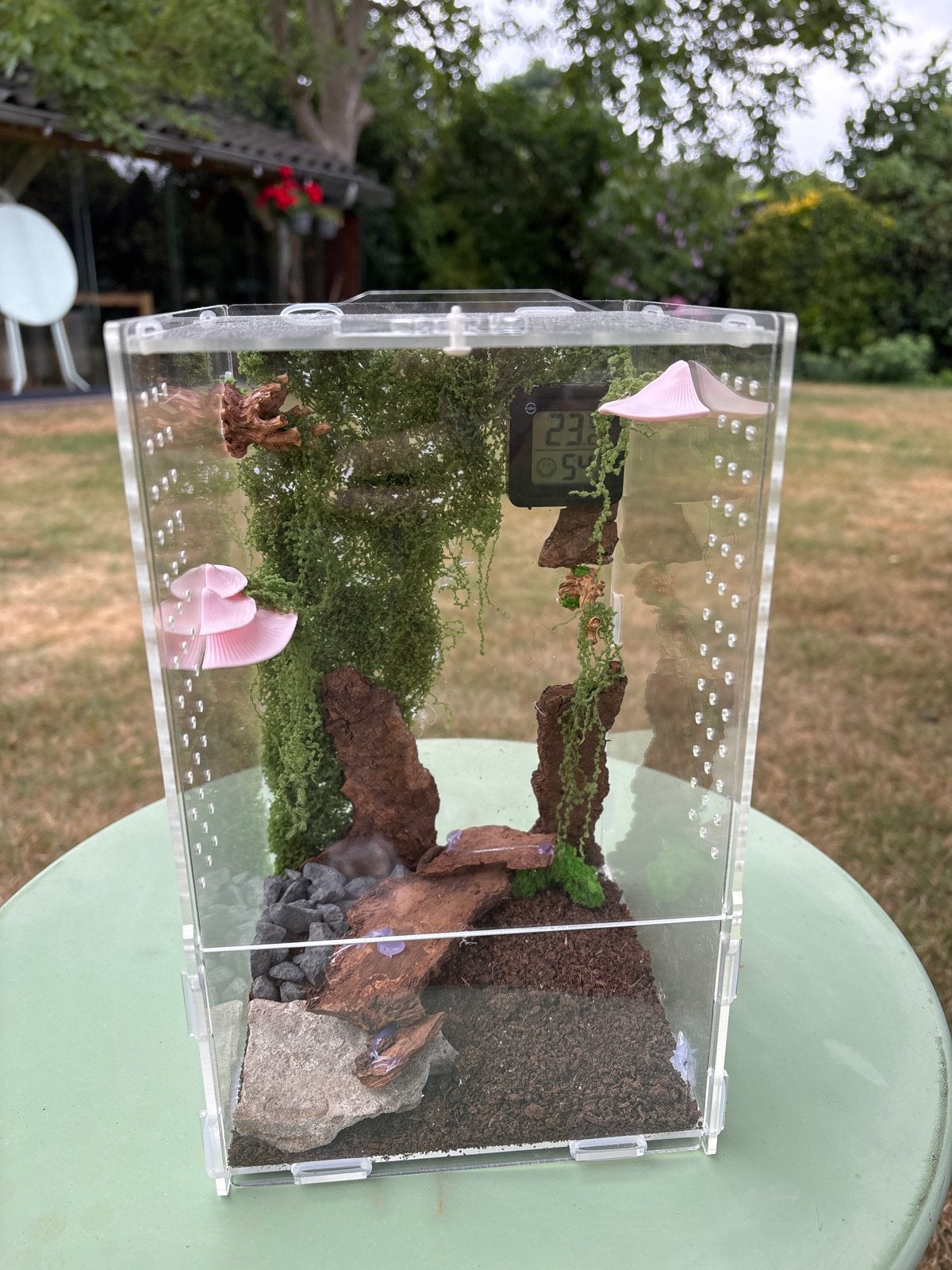 Acryl terrarium, mini-terrarium, Ophalen, Nieuw, Terrarium of Paludarium